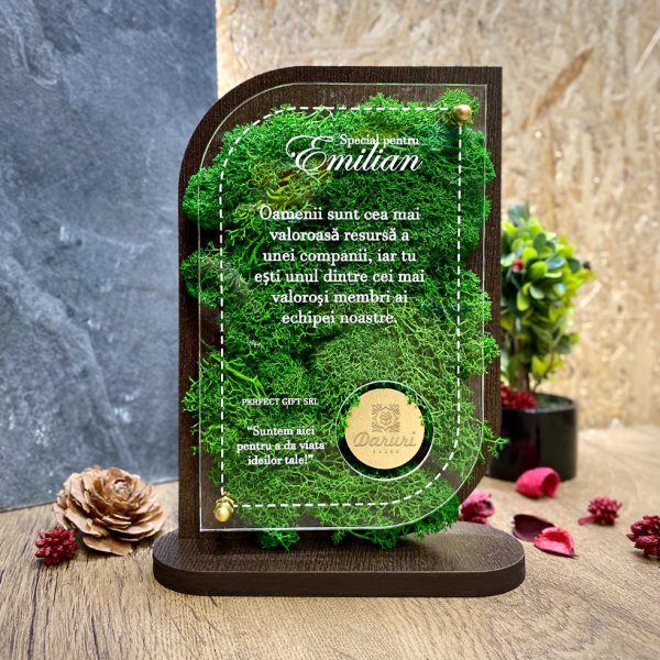 Trofeu corporate personalizat