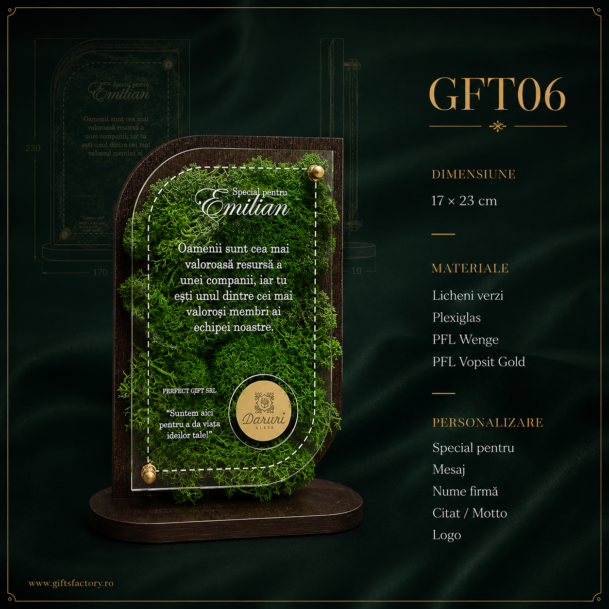 Concept gft06
